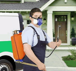 Exterminator at work